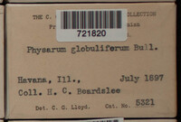 Image Associated With the Occurence
